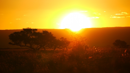 Coucher de soleil dans la savane, aux portes du désert du Namib...